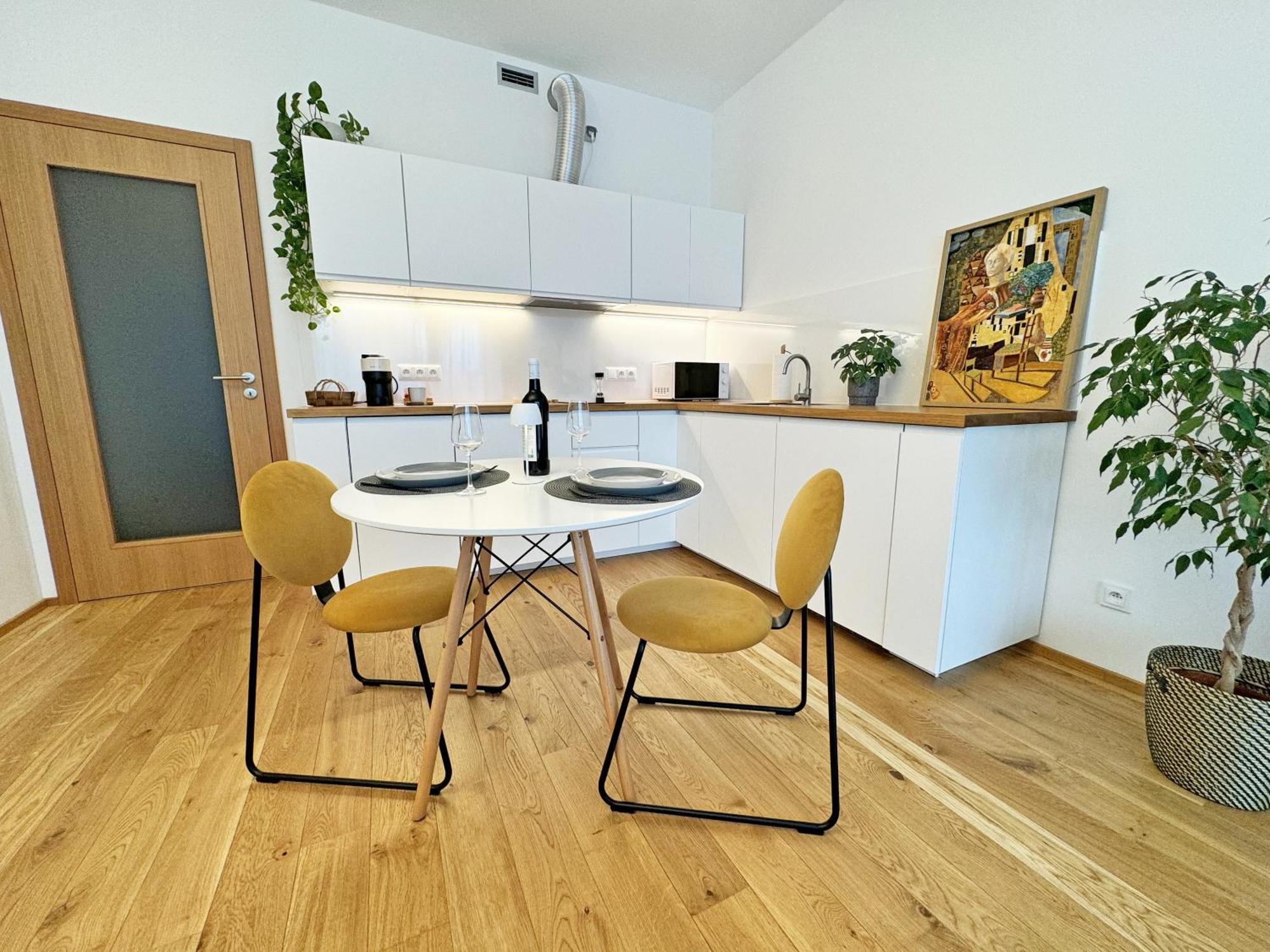 New Studio, King Bed, Free Parking, Terrace Apartament Praga